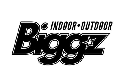 Biggz Logo Design